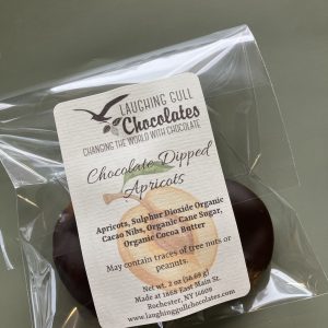 Chocolate Dipped Apricots